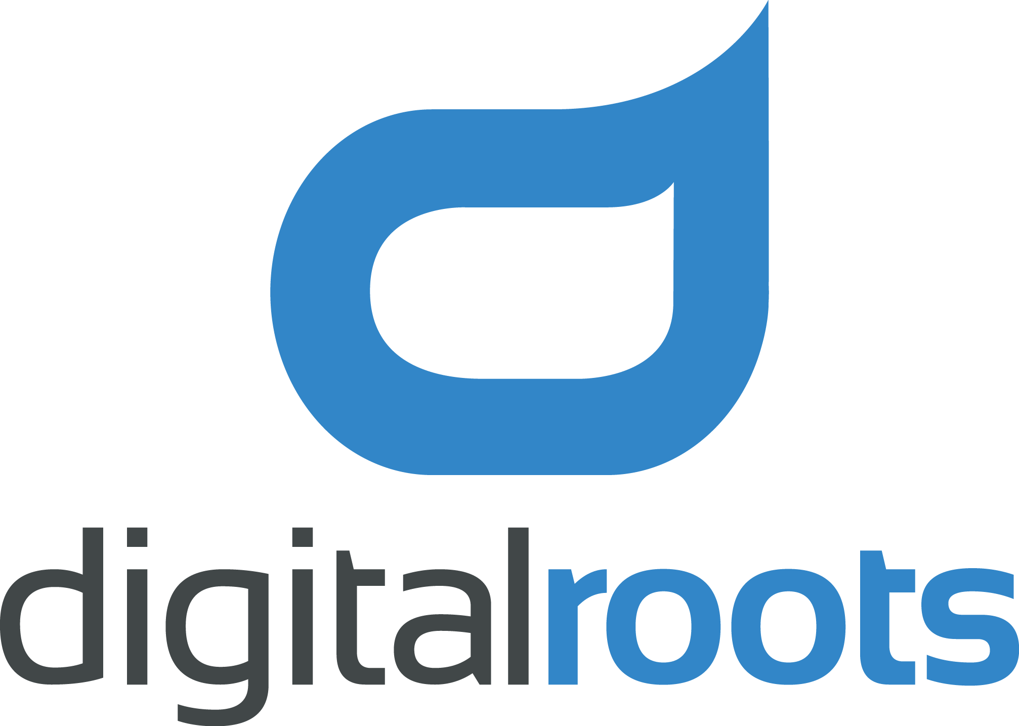 Digitalroots company logo image 