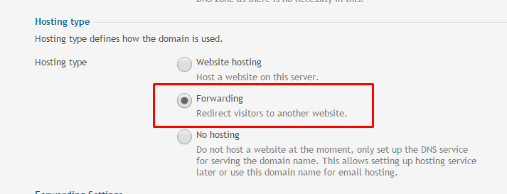 “Hosting Type” section select “Forwarding” option.