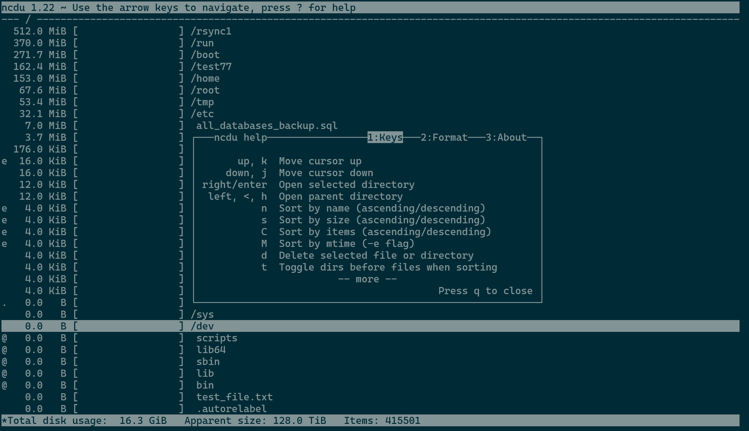 ncdu Screen