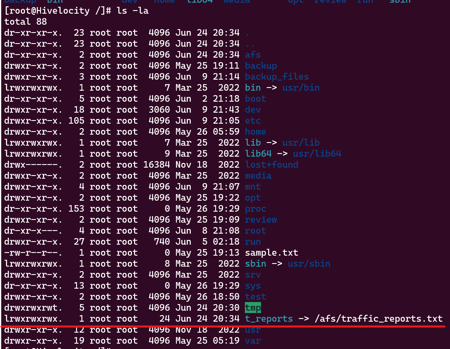 Screenshot showing the results of the ln -s /afs/traffic_reports.txt /t_reports command.