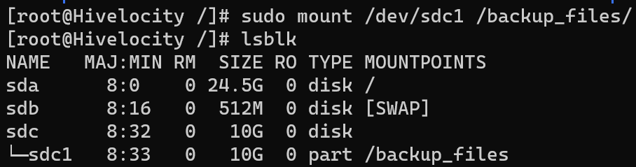 Screenshot showing the result of the sudo mount /dev/sdc1 /backup_files command.
