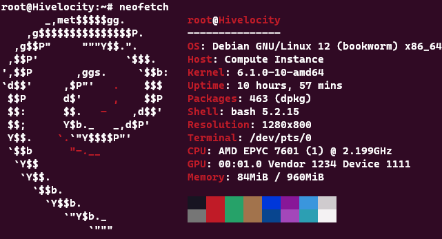 Screenshot showing the program NeoFetch.