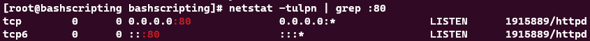 Screenshot showing the results of the netstat -tulpn | grep :80 command.