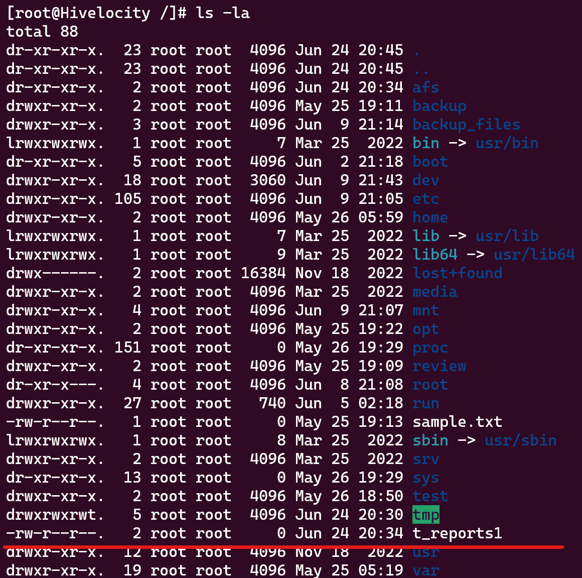 Screenshot showing the results of the ln /afs/traffic_reports.txt /t_reports1 command.