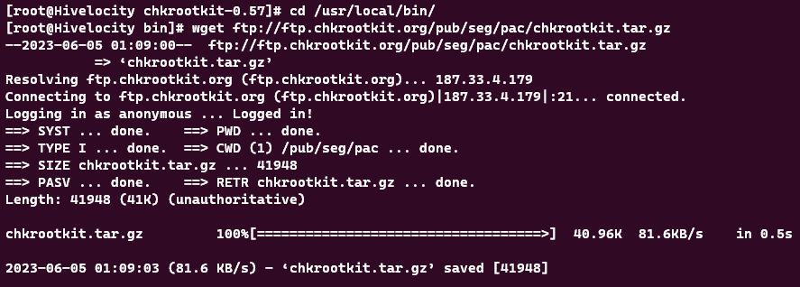 Screenshot showing the results of the wget ftp://ftp.chkrootkit.org/pub/seg/pac/chkrootkit.tar.gz command.