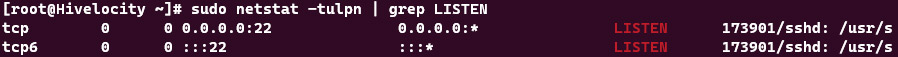 Screenshot showing the results of the sudo netstat -tulpn | grep LISTEN command.