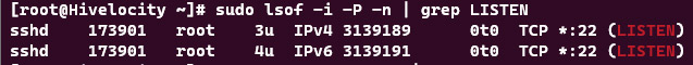 Screenshot showing the results of the sudo lsof -i -P -n | grep LISTEN command.