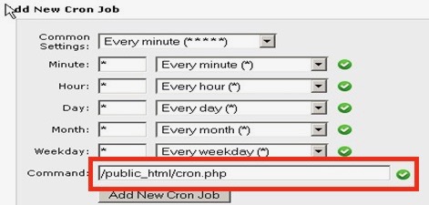 Add New Cron Job window highlighting the "Command" form field
