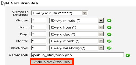 Window highlighting the "Add New Cron Job" button