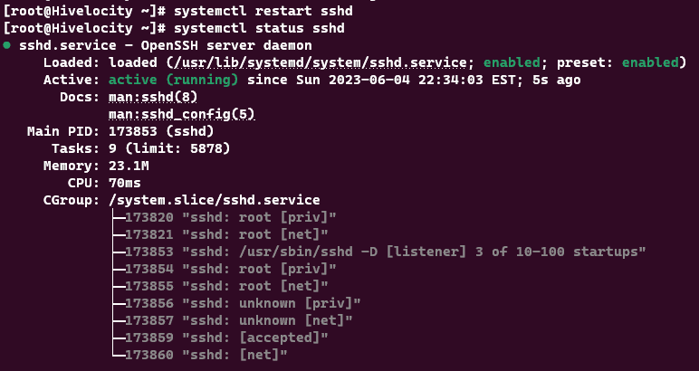 Screenshot showing the results of the systemctl restart sshd command.