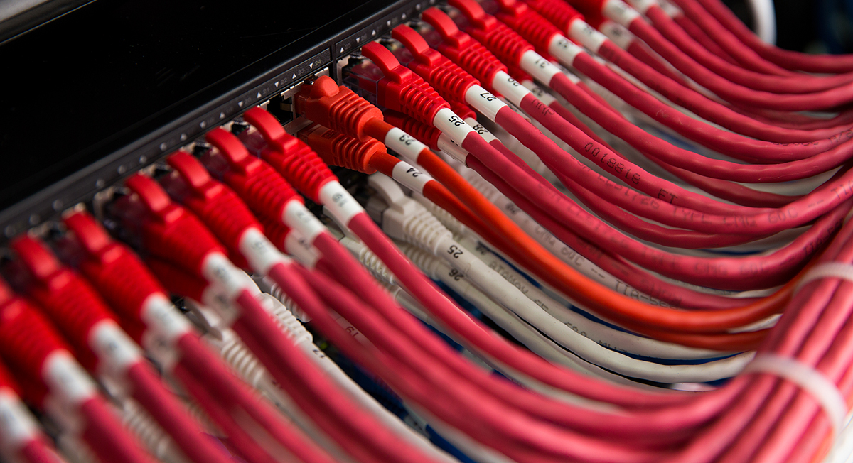 A series of red and white cables plugged into the back of a server