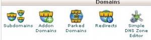 "Domains" category within the cPanel dashboard showing the Subdomains tool