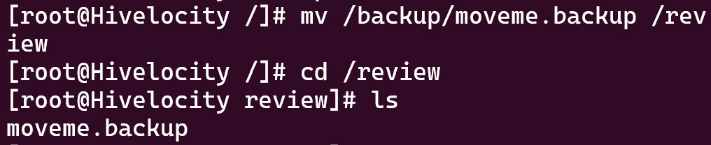 Screenshot showing the results of the mv /backup/moveme.backup /review command.