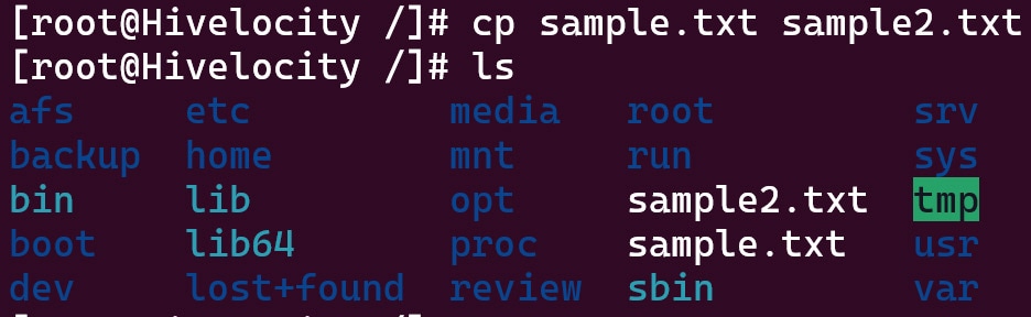 Screenshot showing the results of the cp sample.txt sample2.txt command.