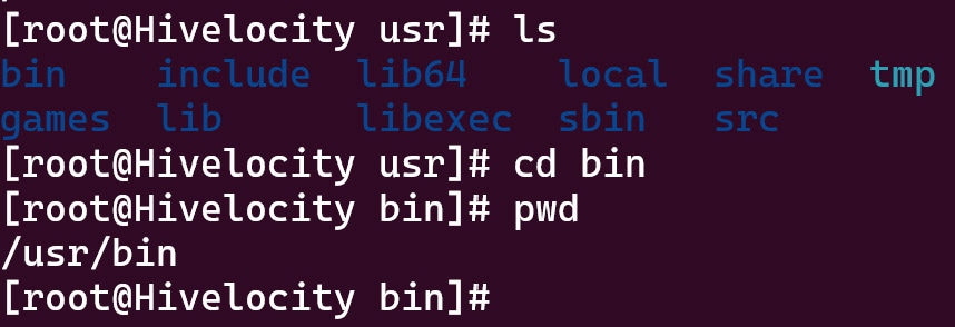 Screenshot showing the result of the cd bin command.
