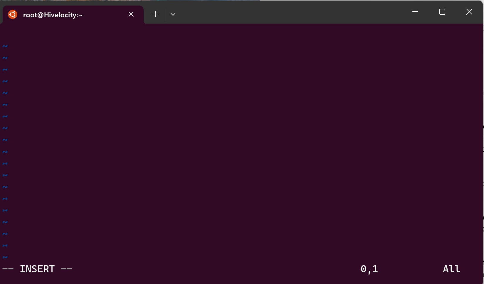 Screenshot of the Vi Editor in Insert Mode.