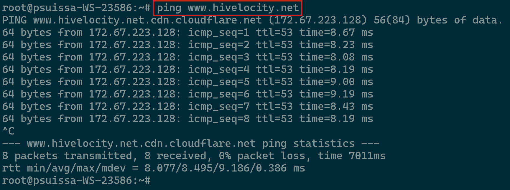 Pinging the Hivelocity.net Domain