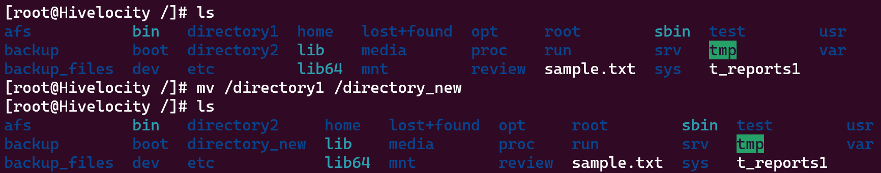 Screenshot showing the results of the command mv /directory1 /directory_new.