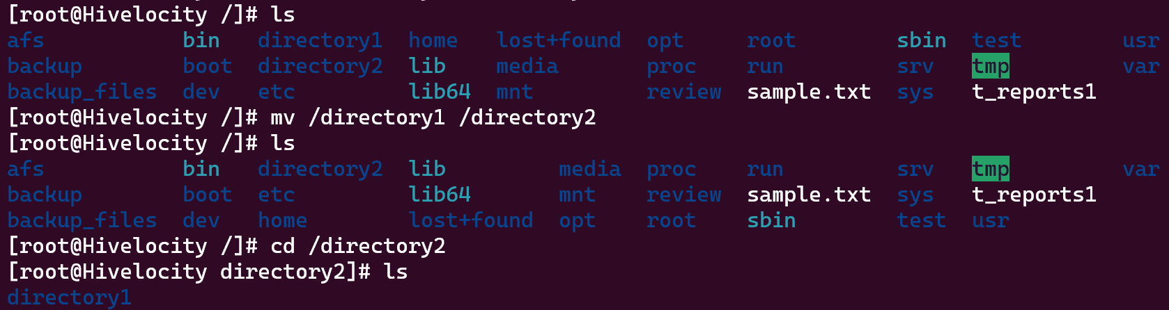 screenshot showing the results of the command mv /directory1 /directory2.