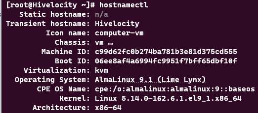 Screenshot showing the results of the hostnamectl command.