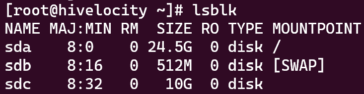 Screenshot showing the results of the "lsblk" command
