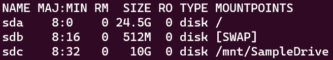 Screenshot showing the results of the "lsblk" command with a list of drives available for scanning