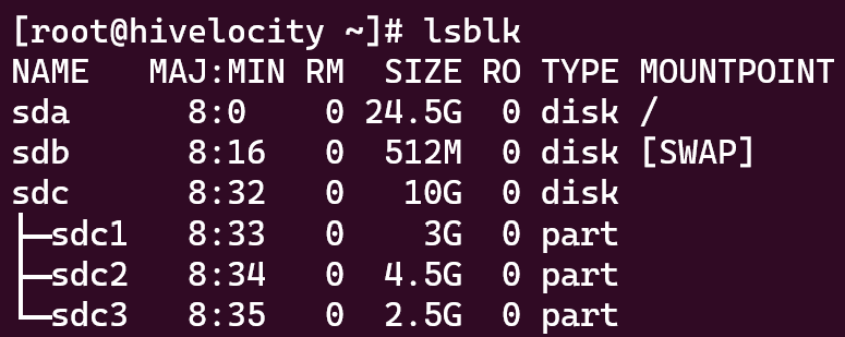 Screenshot showing the new partitions listed out using the "lsblk" command