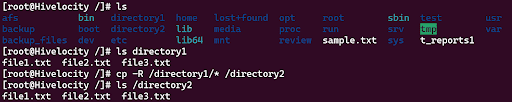How to copy a directory in Linux