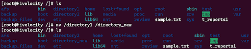 Renaming a directory in linux