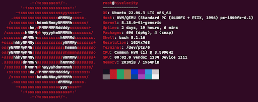 Ubuntu System Output Shown by the Neofetch package