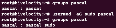 Adding the user “pascal” to the sudo group for escalated privileges