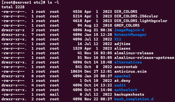 ls -l Command Displaying Files and Directories Within a Directory Along with Their Permissions