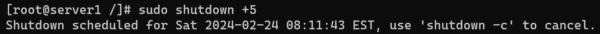 Shutting Down the Server Using the shutdown Command with a 5 Minutes Delay