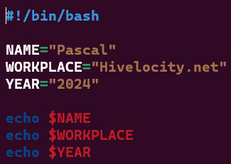 Bash Script Variable Example