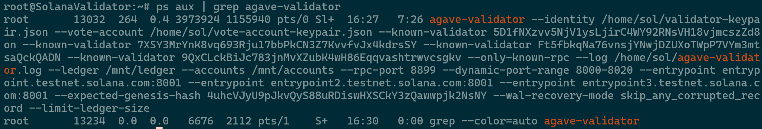 Validator Process  