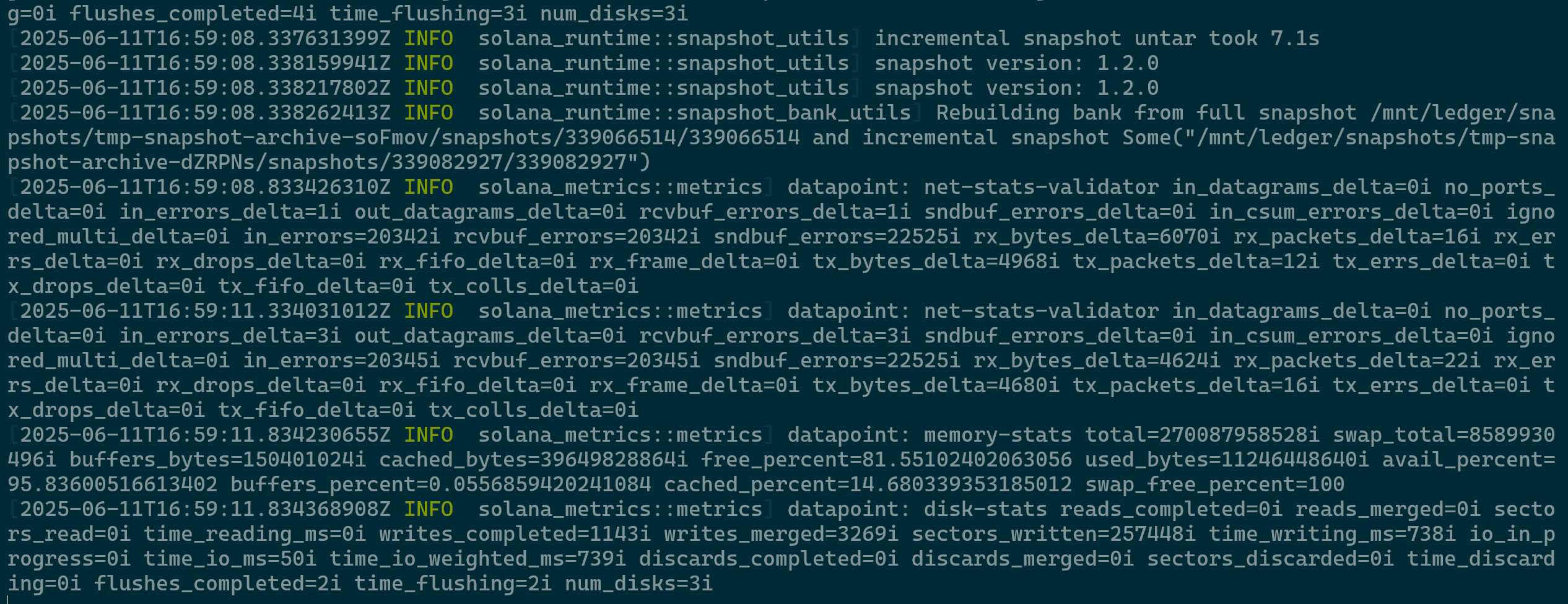 Validator Log Output