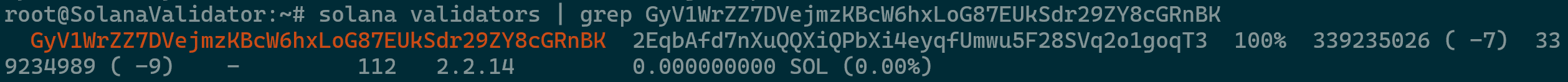 Solana Validator Check