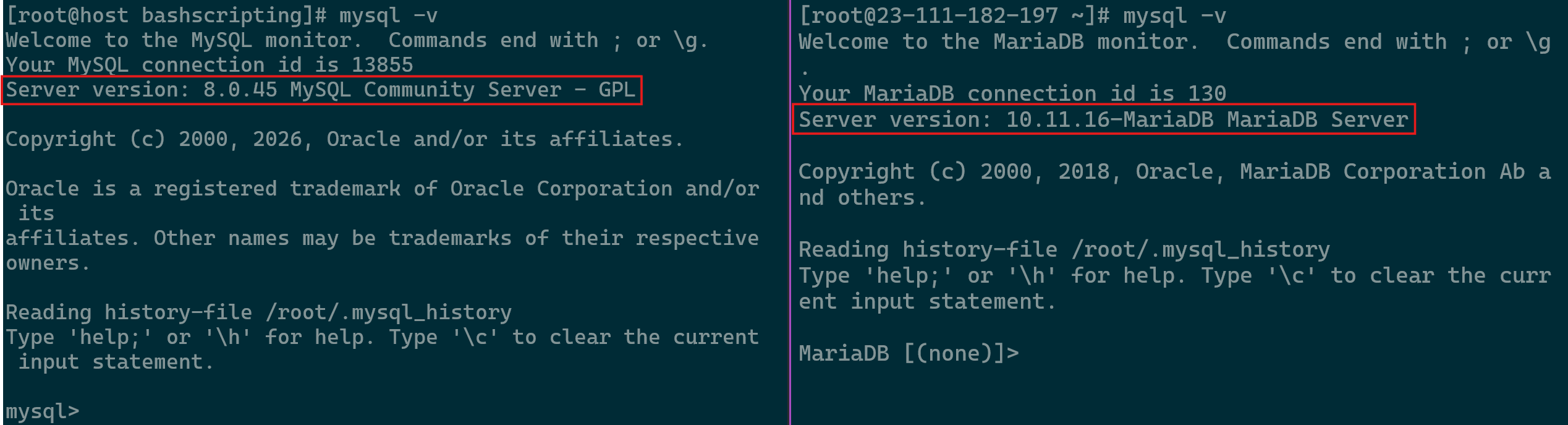 Database Version Comparison